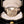 Load image into Gallery viewer, The Vintage Diamond Star Signet Ring