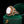 Load image into Gallery viewer, The Antique Victorian Pearl and Shell Cameo Ring