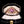 Load image into Gallery viewer, The Vintage Pink and White Sapphire Cluster Ring