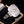 Load image into Gallery viewer, The Antique Georgian 18th Century 'Know Thyself' Memento Mori Ring