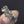 Load and play video in Gallery viewer, The Antique Magnificent 2.5 Carat Diamond Ring