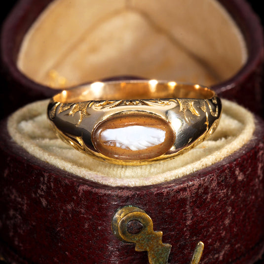 Fede Rings