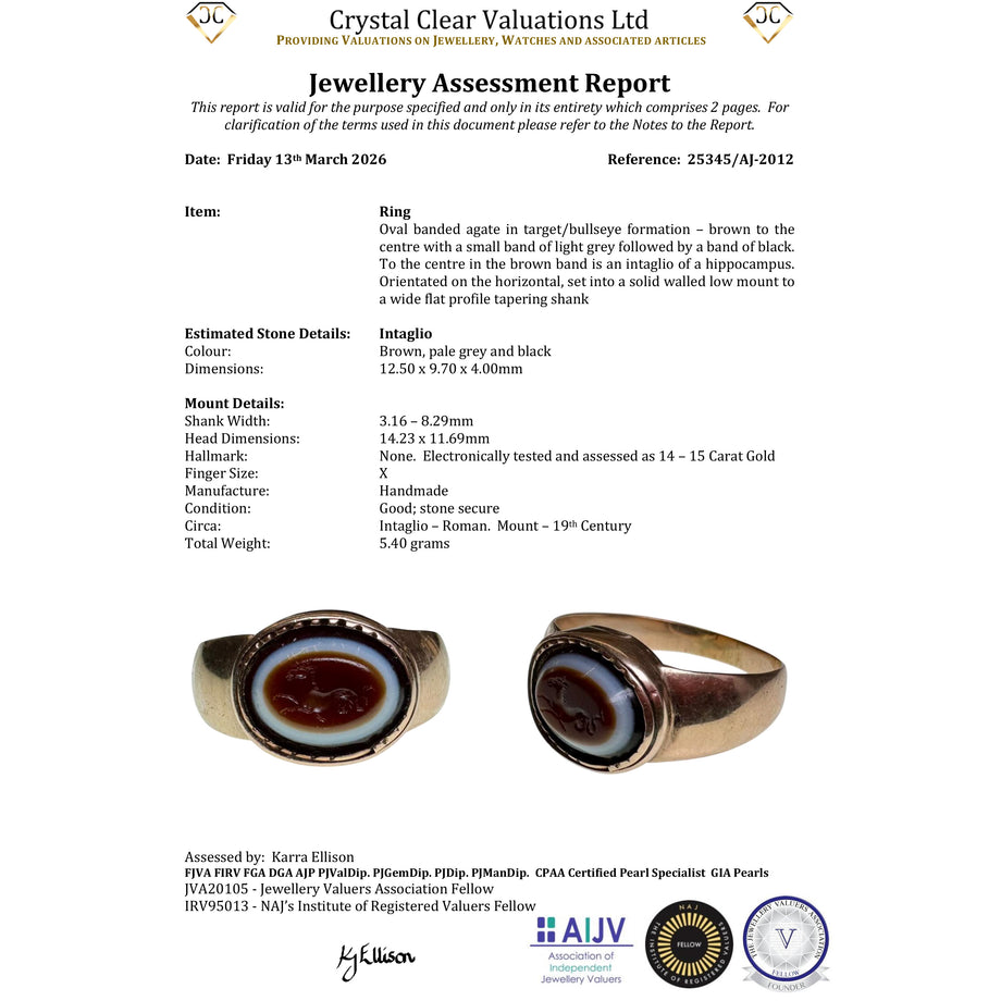 The Ancient Roman Bullseye Agate Hippocampus Intaglio Signet Ring